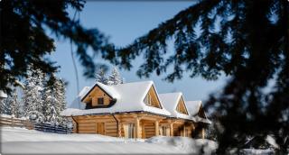 Zdrojowy Gościniec - domki Rabka-Zdrój - 8