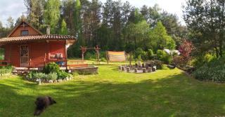 Podlaskie Żuczki - 8