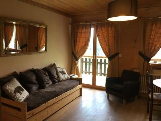 Chalet la Tovasse - 1