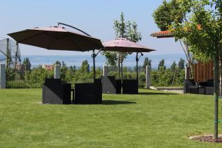 Reblandhof Siebenhaller - Immenstaad am Bodensee - 1
