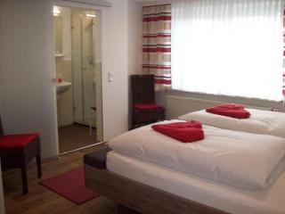 Ferienhaus Isolde - Bodenmais - 1
