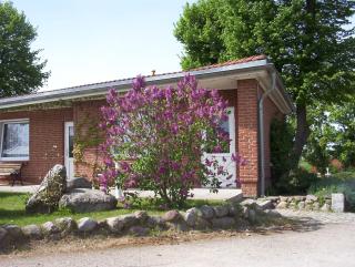 Hotel Am Schlosspark - Mallin - 9