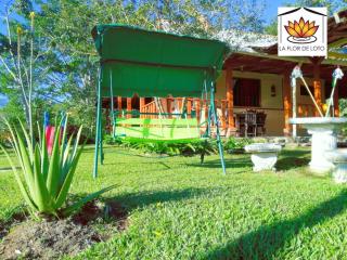 La Flor de Loto - Cartago - 4