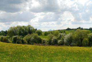 The Garden Gates Guest Accommodation - 5