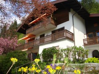 Haus Margrit Ferienwohnung in Sonnenlage - Golling an der Salzach - 7