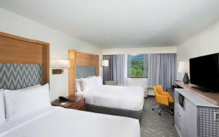 Holiday Inn Asheville East-Blue Ridge Pkwy by IHG - Asheville - 9