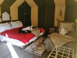 Milky Way Desert Camp - 9