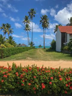Casa Pontal dos Carneiros - Praia dos Carneiros - Recife - 4