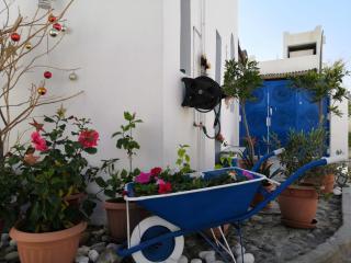 The Blue Gate 2 - Muscat - 5