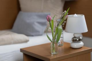 Hotel-Stadt-Aschersleben - Aschersleben - 6