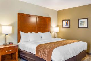 Comfort Inn DeKalb - Adjacent the University - DeKalb - 2