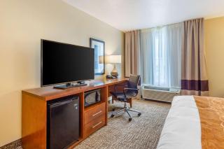 Comfort Inn DeKalb - Adjacent the University - DeKalb - 1