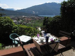 Appartamento OLIVO - 0