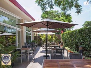 Ibis Cornella - 6