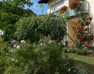 Ferienwohnung Kirsch - Sankt Wendel - 6