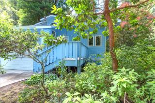 Blue Cherry! Redwoods! BBQ Grill! Fire Table! Ping Pong! Fast WiFi!! Dog Friendly! - Guerneville - 8