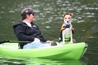 Blue Cherry! Redwoods! BBQ Grill! Fire Table! Ping Pong! Fast WiFi!! Dog Friendly! - Guerneville - 4