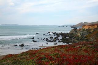 Knot-a-Care! Hot Tub!! Walk to Beach!! BBQ! Fast WiFi!! - Dillon Beach - 9