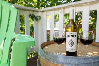 Happy Days! Downtown Guerneville! BBQ! Game Room!! Fast WiFi!! Dog Friendly! - Guerneville - 5