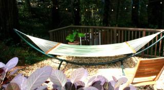 Little Red House Plus! Redwoods! Hot Tub!! BBQ Grill! Fast WiFi! Near Golf Course!! Dog Friendly! - Guerneville - 6