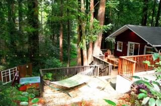 Little Red House! Redwoods! Hot Tub! BBQ! Fast WiFi!! Multiple Decks!! Near Golf Course!! Dog Friendly! - Guerneville - 8