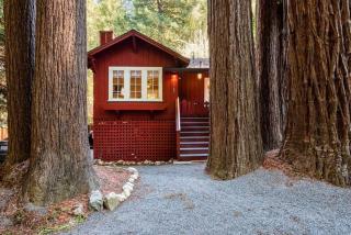 Redwood Retreat! Redwoods! Walk to River!! Hot Tub!! BBQ! Central Air!! - Guerneville - 0