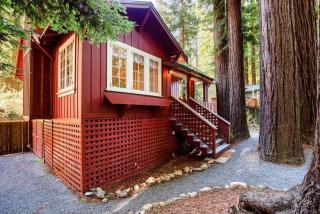 Redwood Retreat! Redwoods! Walk to River!! Hot Tub!! BBQ! Central Air!! - Guerneville - 9