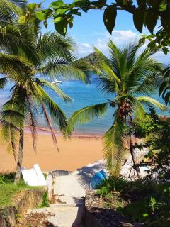 Cerrito Tropical Eco Lodge - Taboga - 5