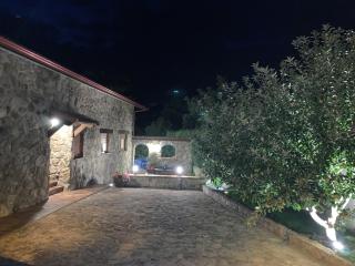 La Casita de las Hortensias - Ortigosa del Monte - 1