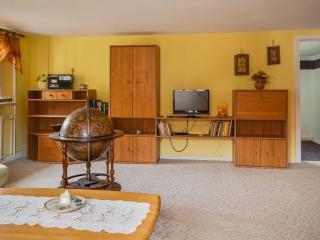 Apartment in Thuringia with garden - - 3
