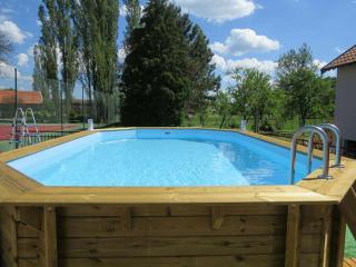 Character house with pool jacuzzi - Gondrecourt-le-Château - 9