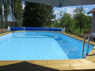 Character house with pool jacuzzi - Gondrecourt-le-Château - 3