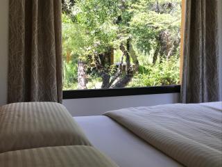 Kingfisher de los Andes - Villa Meliquina - 9