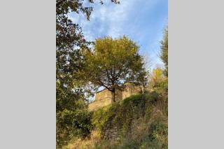 La Pellegrine, Parc national des Cévennes - Le Salson - 6