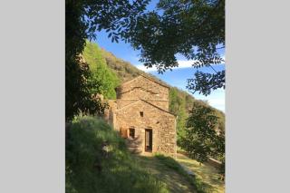 La Pellegrine, Parc national des Cévennes - Le Salson - 8