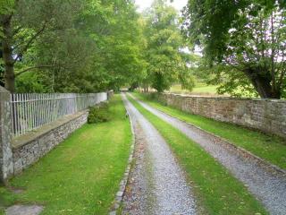 Fiddleback Farm - Wigton - 4