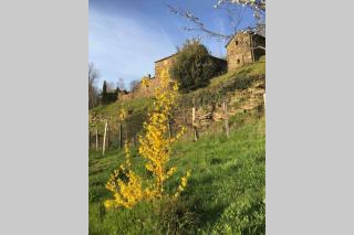La Pellegrine, Parc national des Cévennes - Le Salson - 4