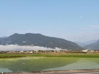 花總管 - Chin-yüan - 6