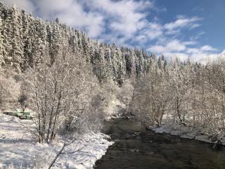 River Cottage Complex - 2