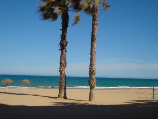 Luxury appartement 2c La Mata 50m from the sea - La Mata - 4