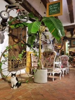 La Mansion Hostel - 1