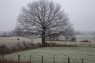 le Chaumois - Saint-Boil - 8