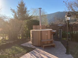 Gîte le Cerf Volant - Raon-sur-Plaine - 7