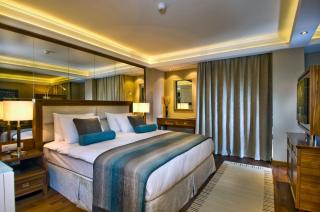 Marigold Thermal & Spa Hotel Bursa - Bursa - 8