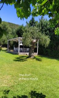 The Port - Porto Koufo - 5