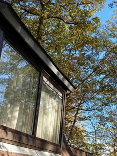 Chalet la Catrina - Bungalow 41, Sunclass Durbuy - Durbuy - 4