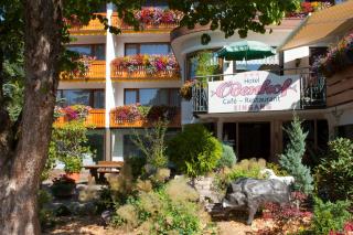 Ferienhotel Ödenhof - Baiersbronn - 2