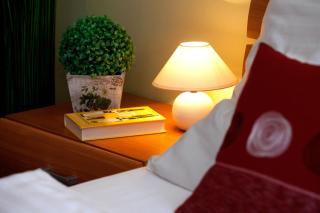 Penzion Oregano Třeboň - 1