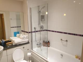 Birmingham Garnet, 3 bedroom Apartment - Birmingham - 4