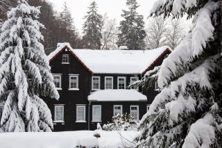 Waldhaus Wolfsbachmühle - Hohegeiß - 3